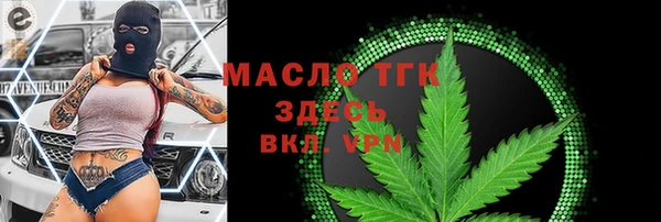 крисы Горняк