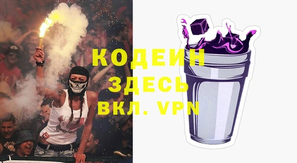 крисы Горняк