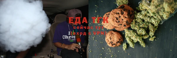 крисы Горняк