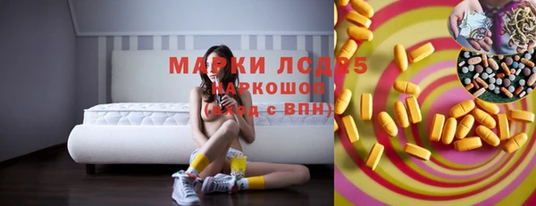 крисы Горняк
