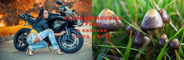крисы Горняк