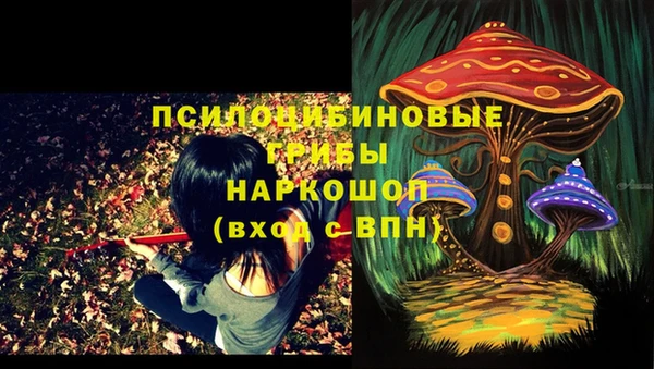 сатива Рославль