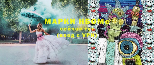 крисы Горняк