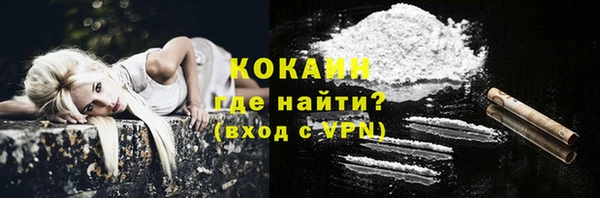 крисы Горняк