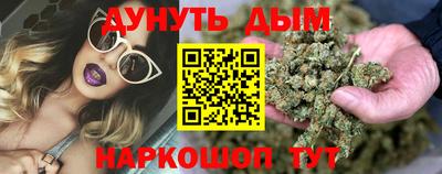 скорость Дубна