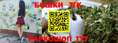 скорость Дубна