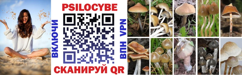 Псилоцибиновые грибы Magic Shrooms  МЕГА сайт  Десногорск 
