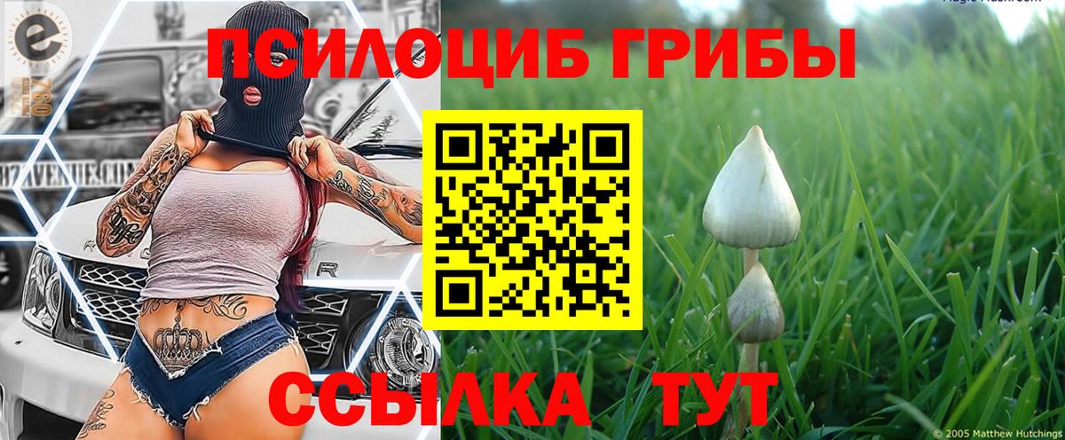 Галлюциногенные грибы GOLDEN TEACHER Десногорск