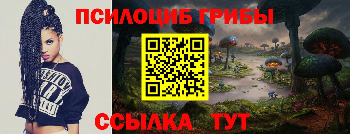 Галлюциногенные грибы GOLDEN TEACHER  Галлюциногенные грибы Psilocybe  наркота  Десногорск 